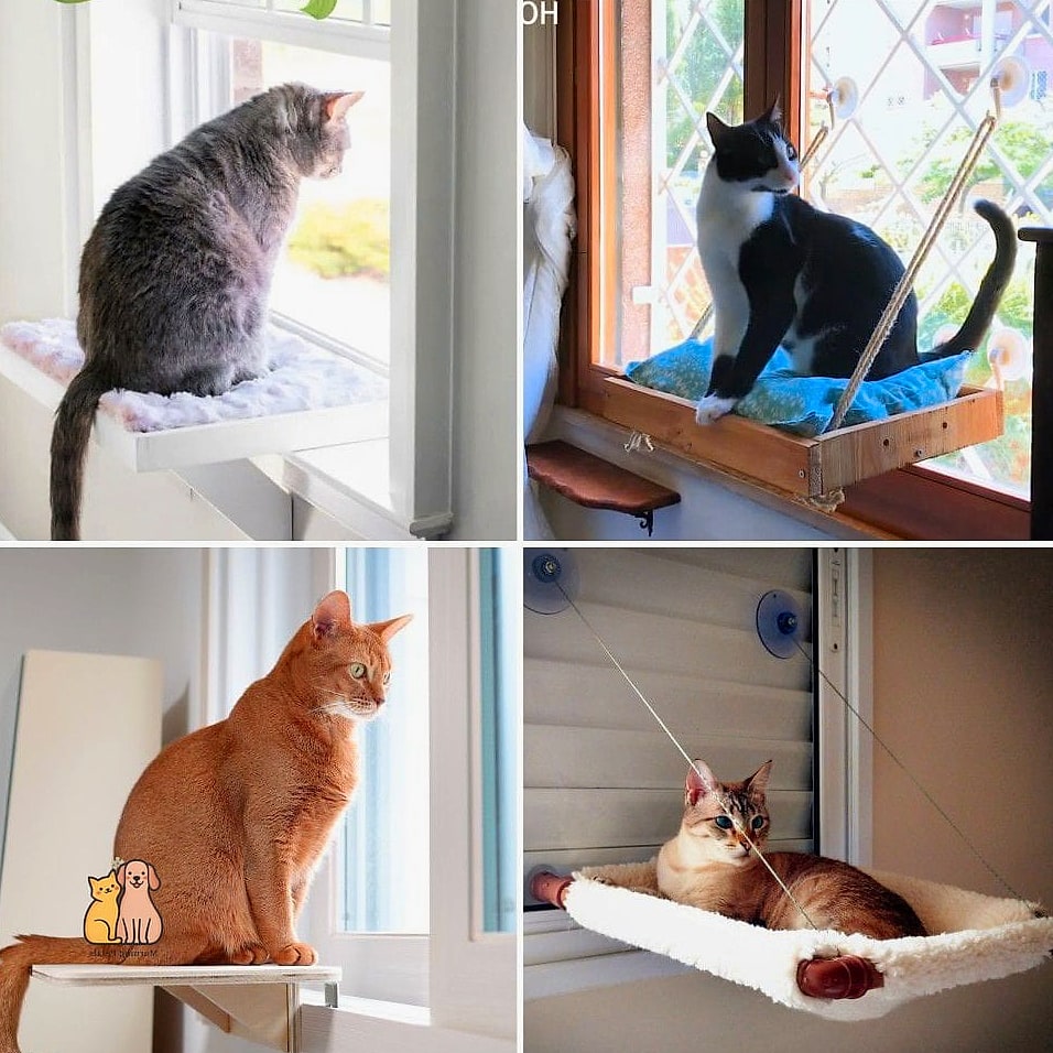 The DIY Window Perch