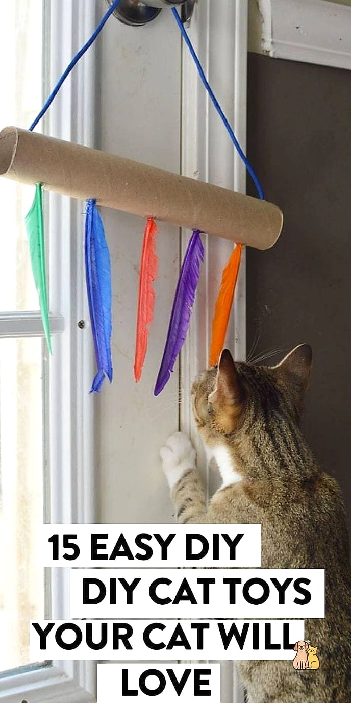 DIY Window Perch Dangler