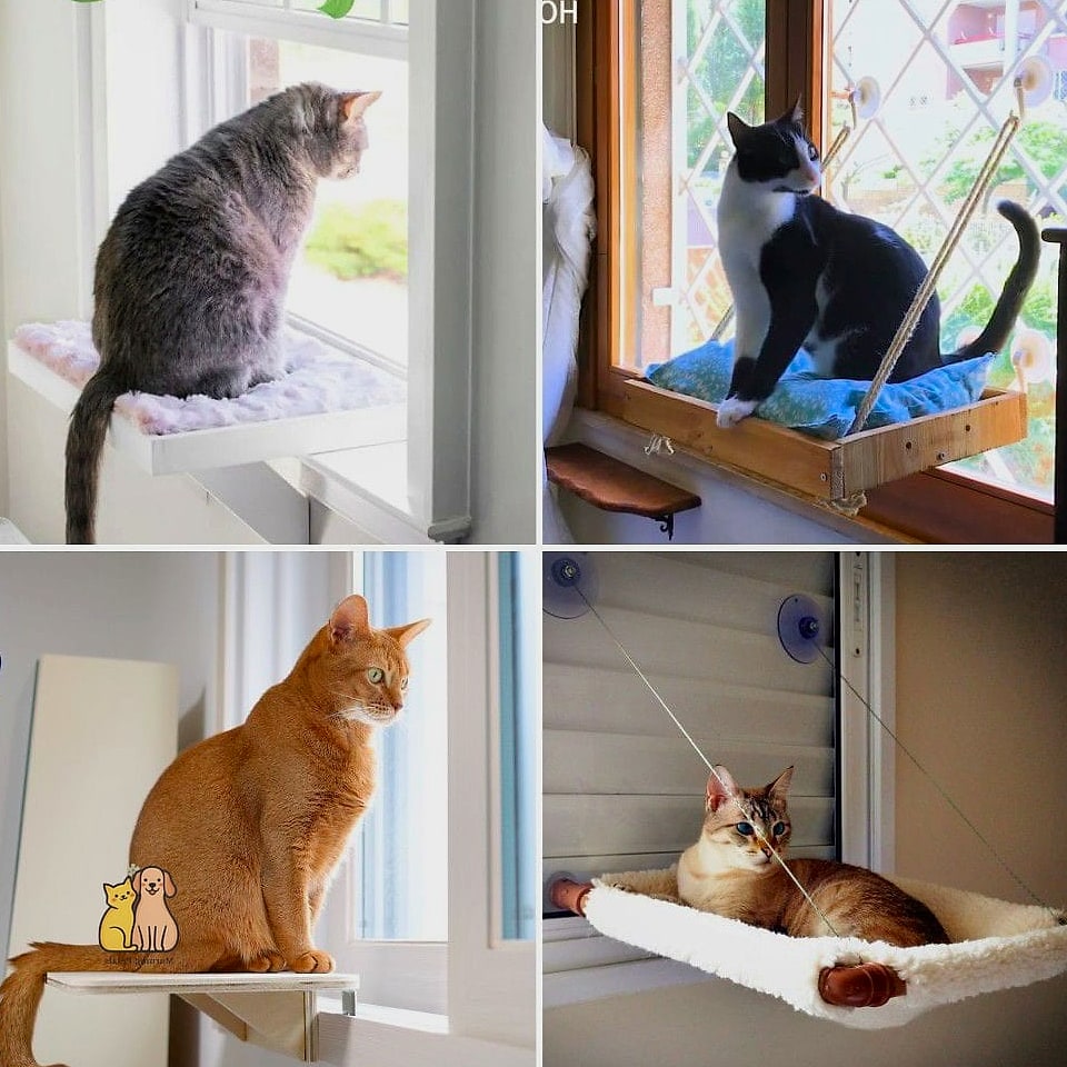 45 Easy Diy Cat Toys to Try Right Now 27 DIY Window Perch Toy Station