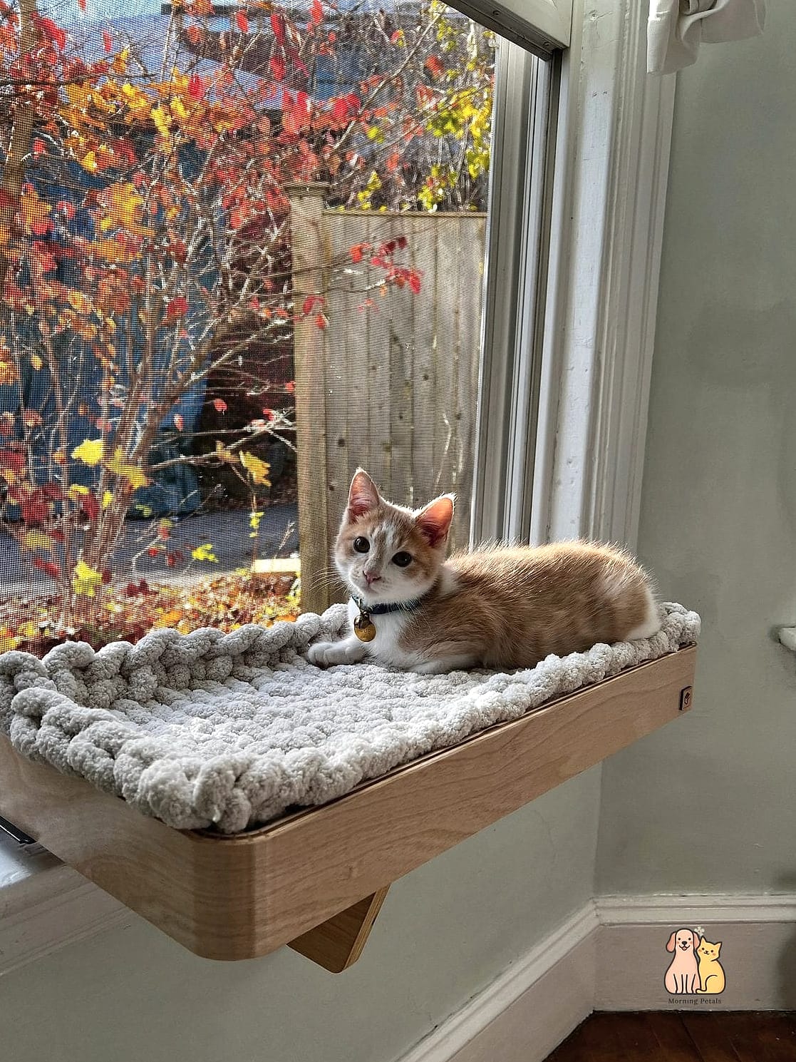The DIY Window Perch Bed