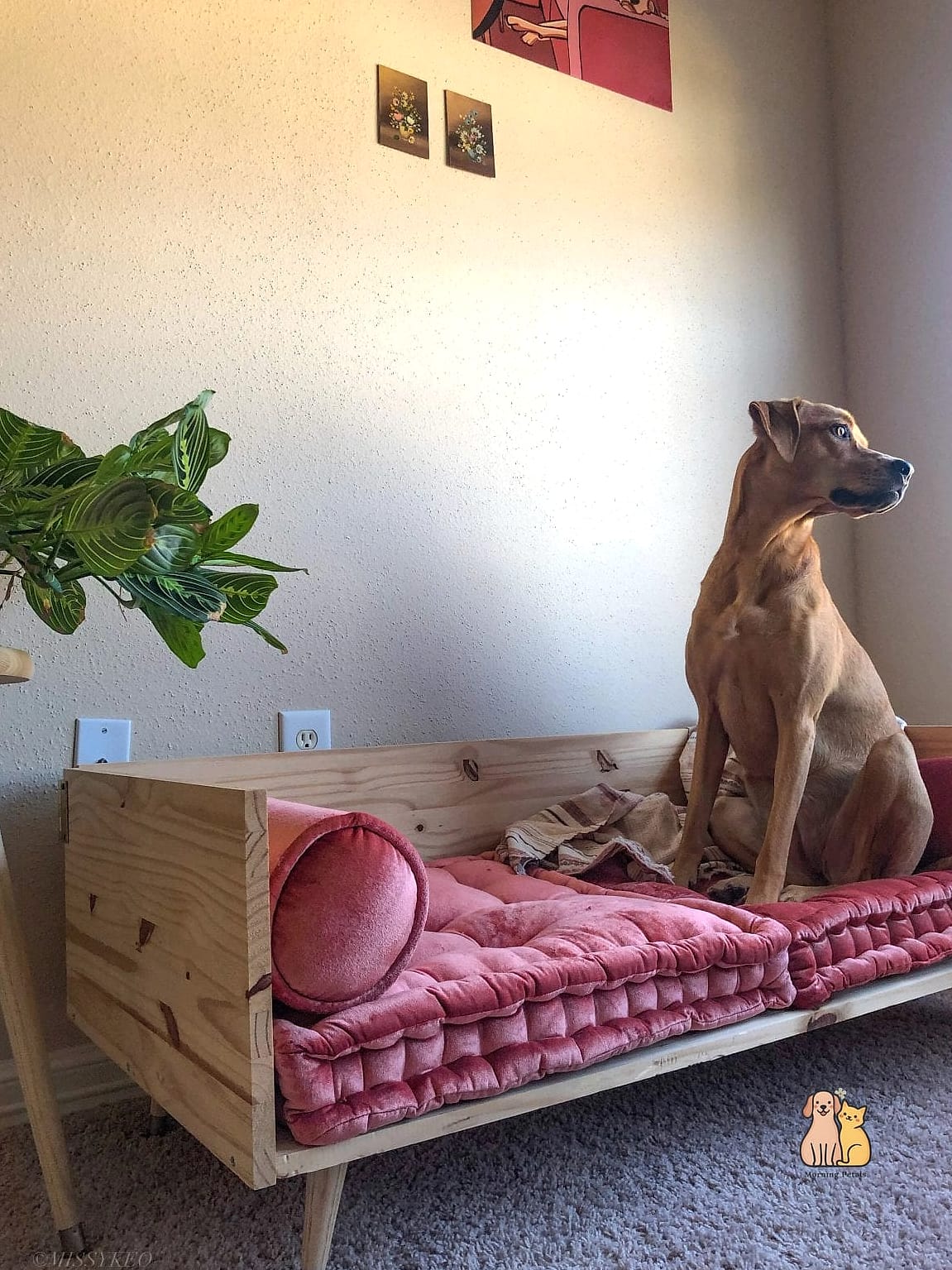 The Dog Bed Extension Crate Topper