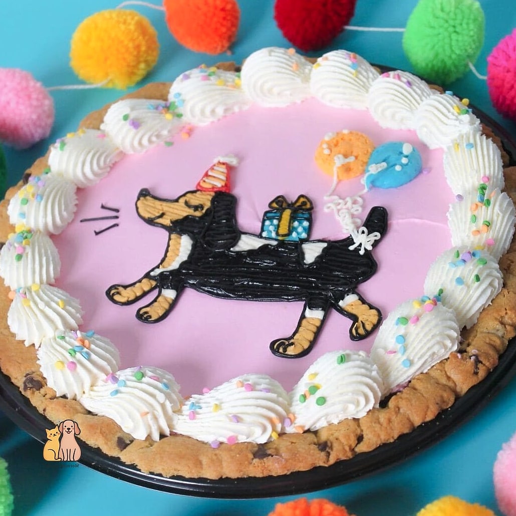 25 Amazing Dog Themed Cookies That Prove Pets Are the Best 6 Dog Birthday Cake Cookies