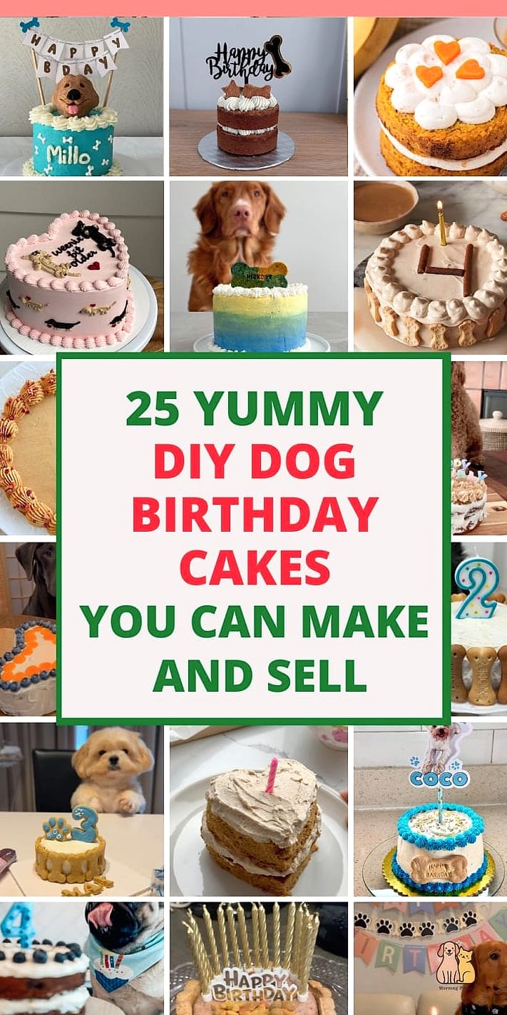 A Dog Birthday Cake Kit for Celebrating the Small Stuff