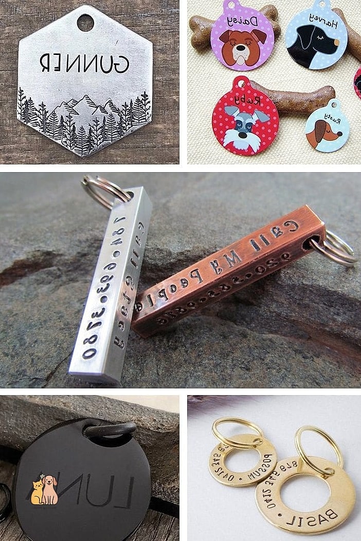 22 Creative Dog Themed Cakes Your Pet Will Beg For More 17 Dog Collar and Tag Cake