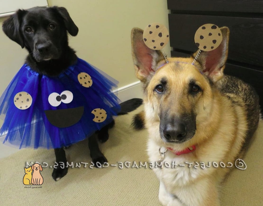 25 Amazing Dog Themed Cookies That Prove Pets Are the Best 17 Dog Costume Cookies
