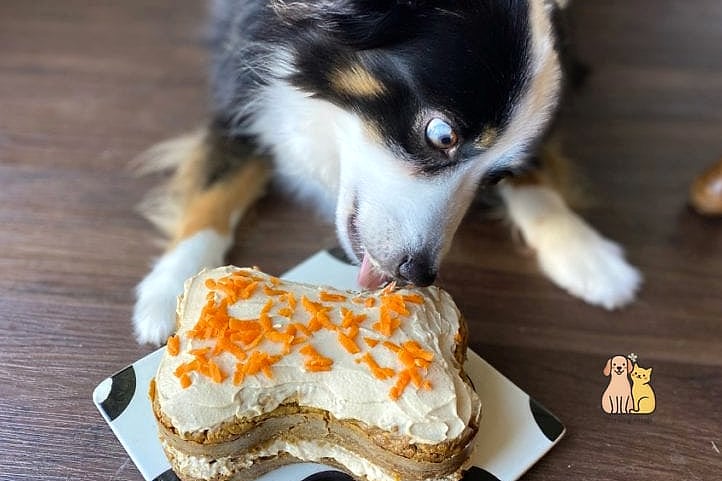 Dog-Friendly Carrot and Peanut Butter Tower Cake