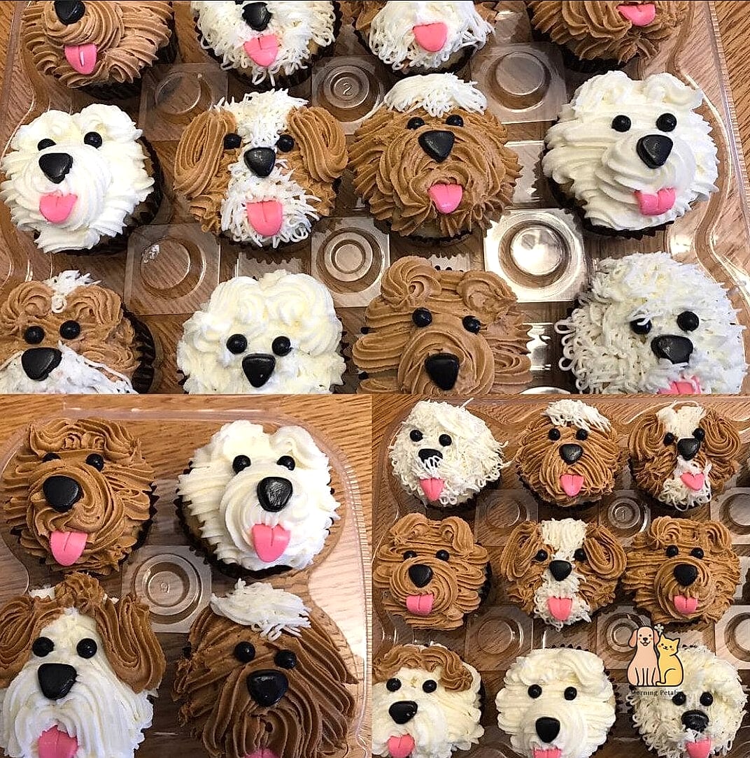 Dog House Cupcakes