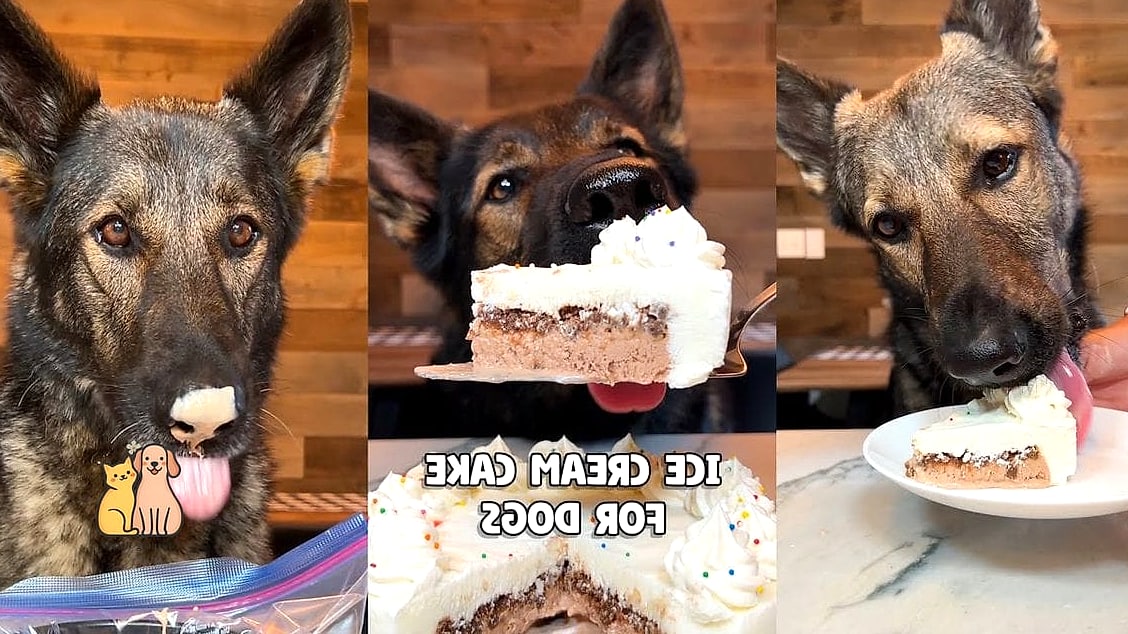 Dog Ice Cream Cake