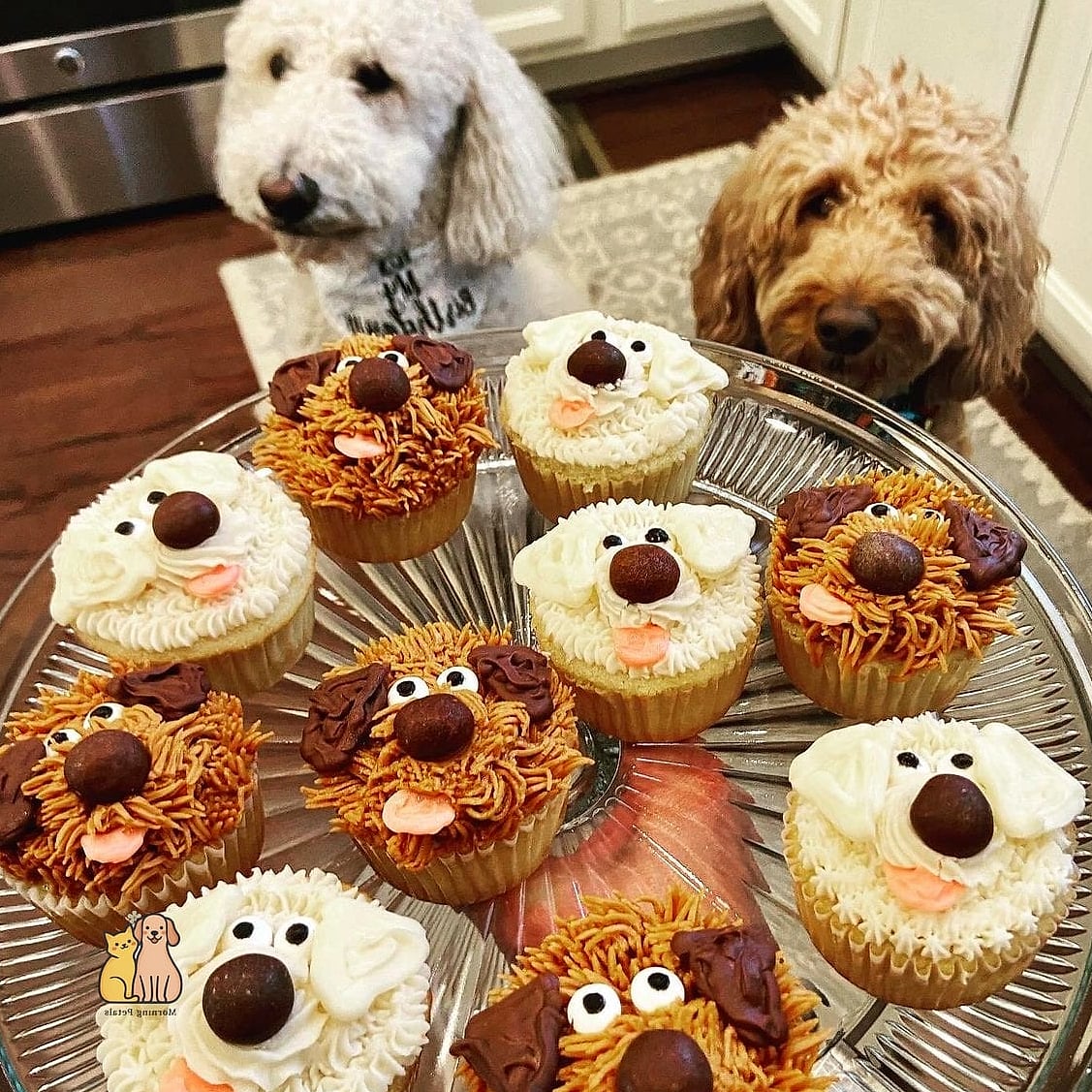 Dog Park Adventure Cupcakes