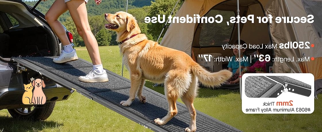 A Dog Ramp Entry Point