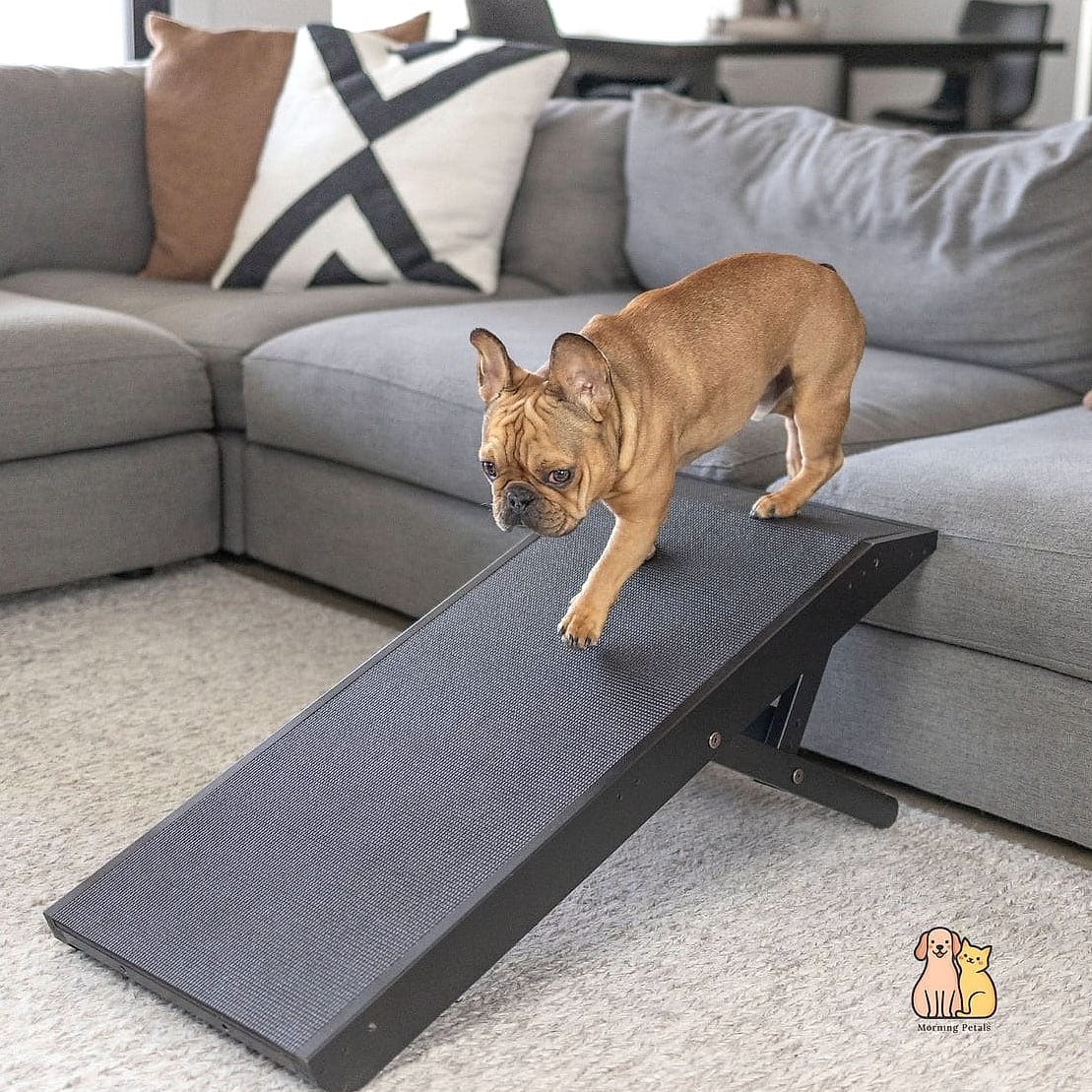 20 Heartwarming Dog Accessories You Need in Your Life Right Now 13 A Dog Ramp for the Couch or Car