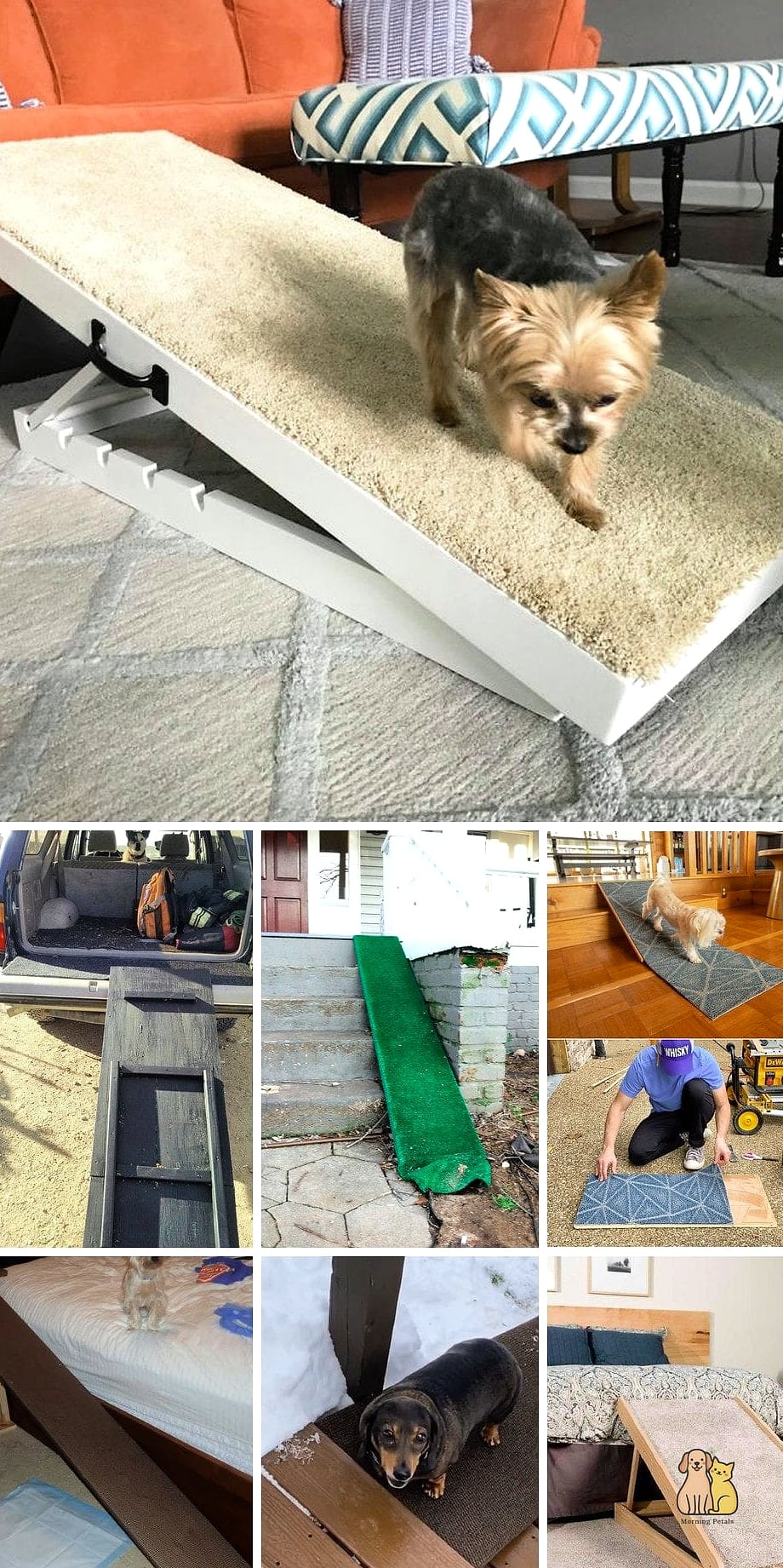 A Dog Ramp Staircase Landing