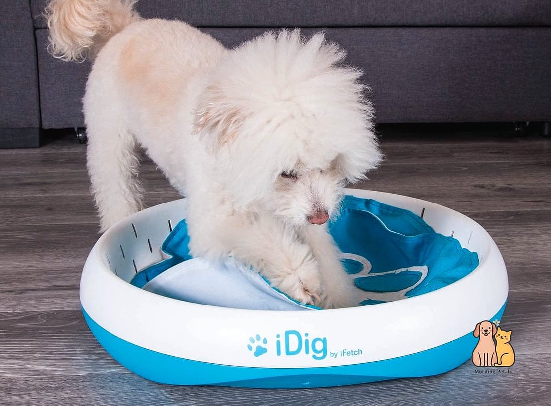 Dog-Safe Digging Pit