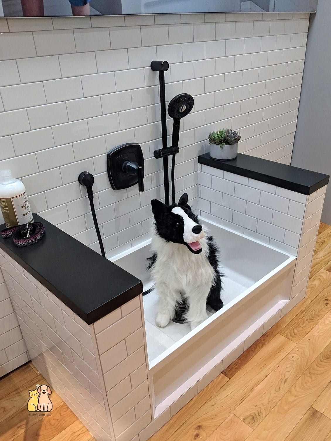 The Dog Shower With Built-In Storage