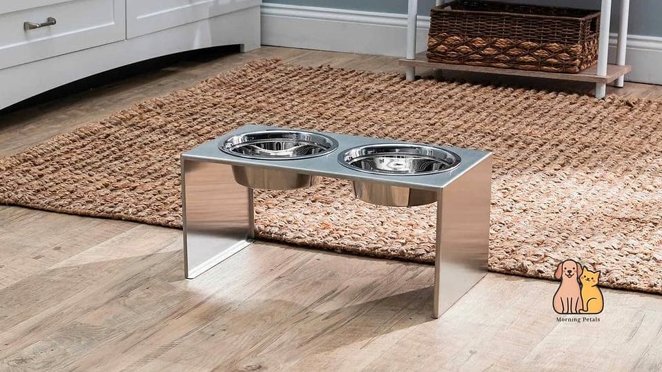 Double Dog Feeding Station