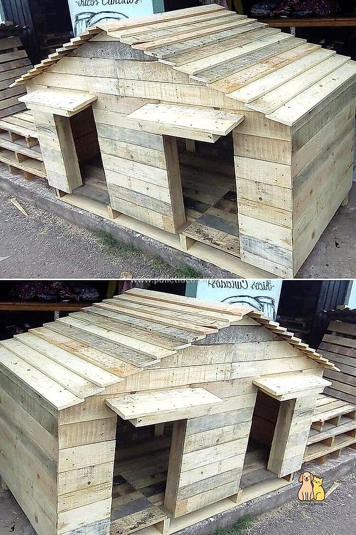 The Double-Pallet Duplex for Two Dogs