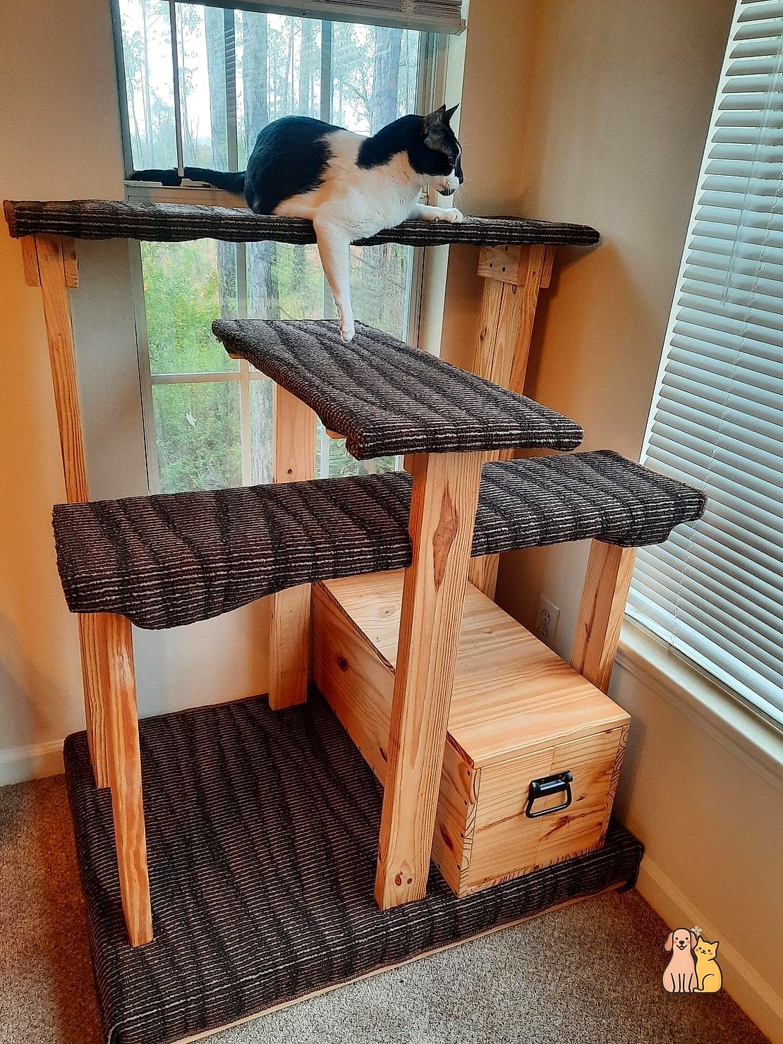 The Double-Post Wide Base Tree