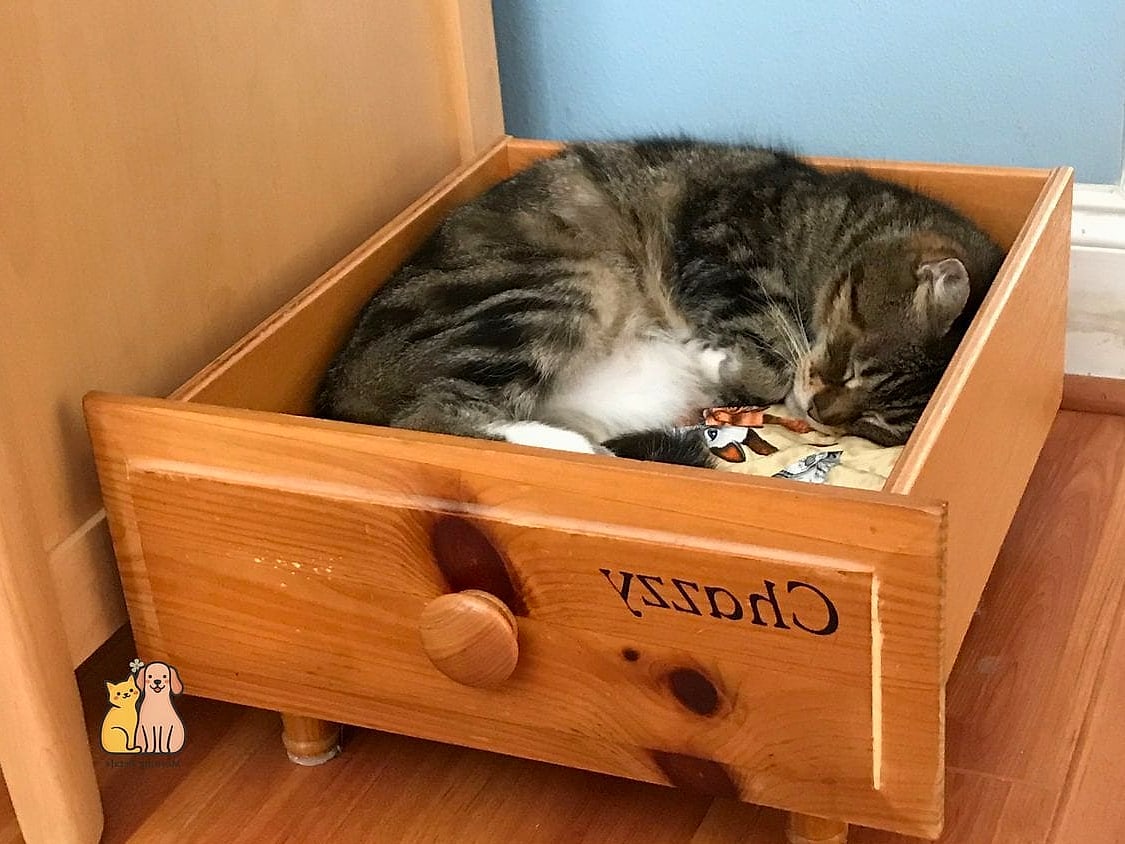 The Drawer Bed