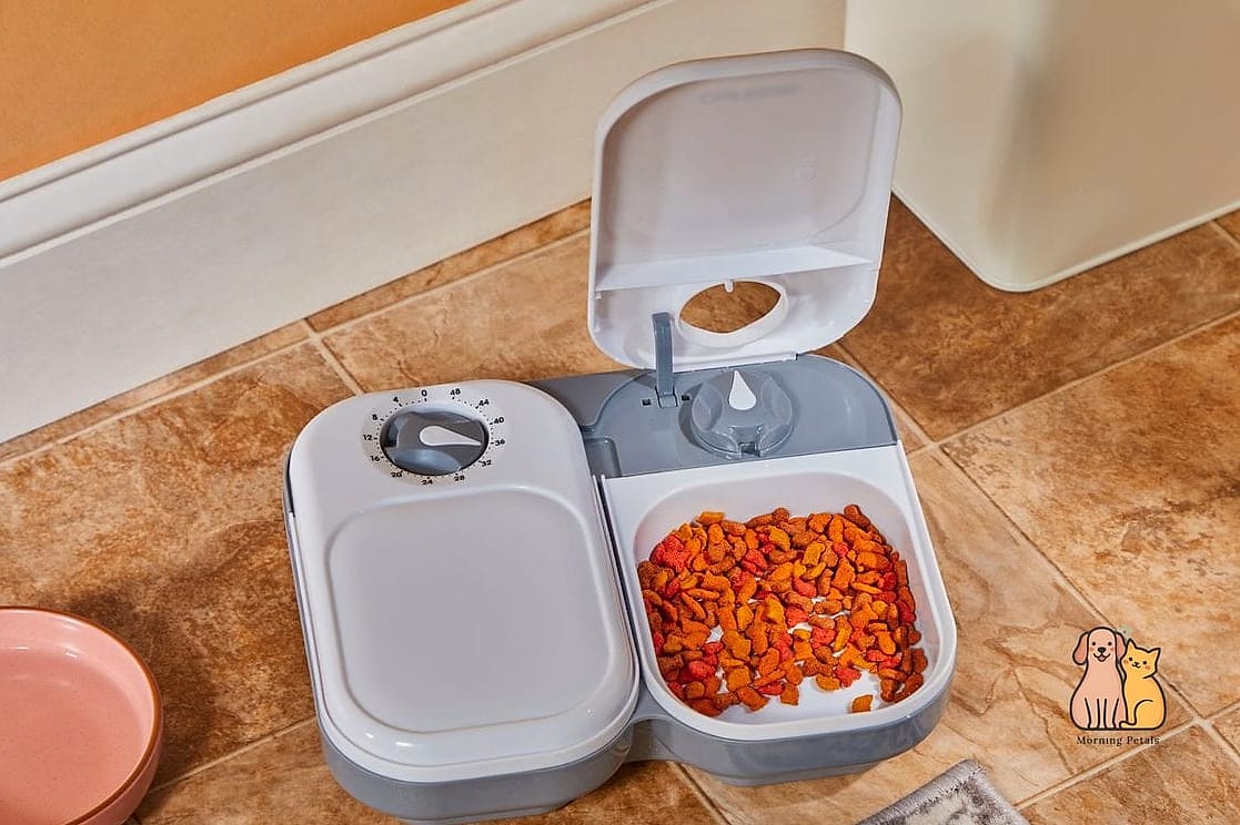 50 Budget-friendly Cat Food Station Ideas Your Pet Will Beg For More 16 The Drawer Organizer Bowl Tray
