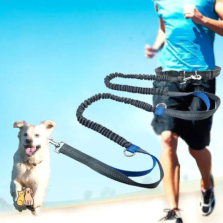 21 Incredible Hands Free Dog Leashes You Need in Your Life Right Now 20 The Dual-Bungee Shock Leash