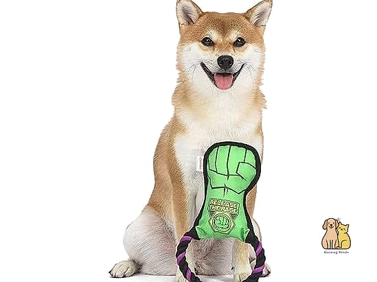 21 Incredible Hands Free Dog Leashes You Need in Your Life Right Now 3 The Dual-Handle Bungee Leash