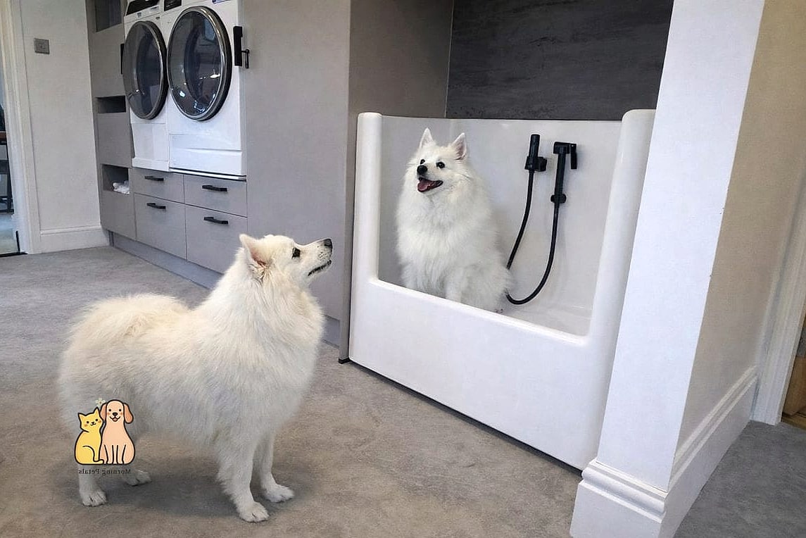 24 Precious Dog Shower In Laundry Room That Will Restore Your Faith in the World 21 The Dual-Purpose Mudroom Wash Station