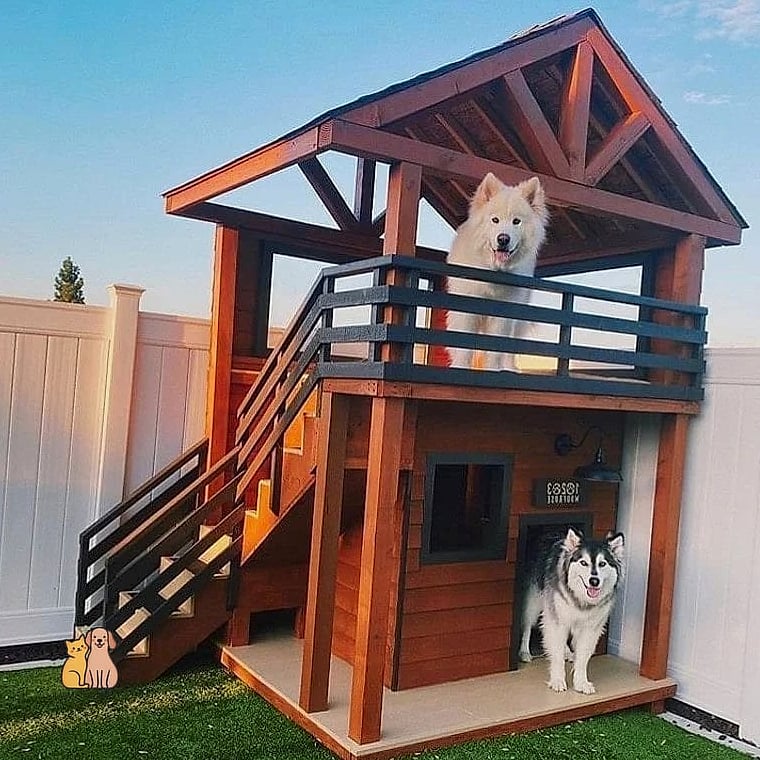 20 Stunning Dog Houses For Multiple Dogs Guaranteed to Make You Smile 2 The Duplex-Style Dog House
