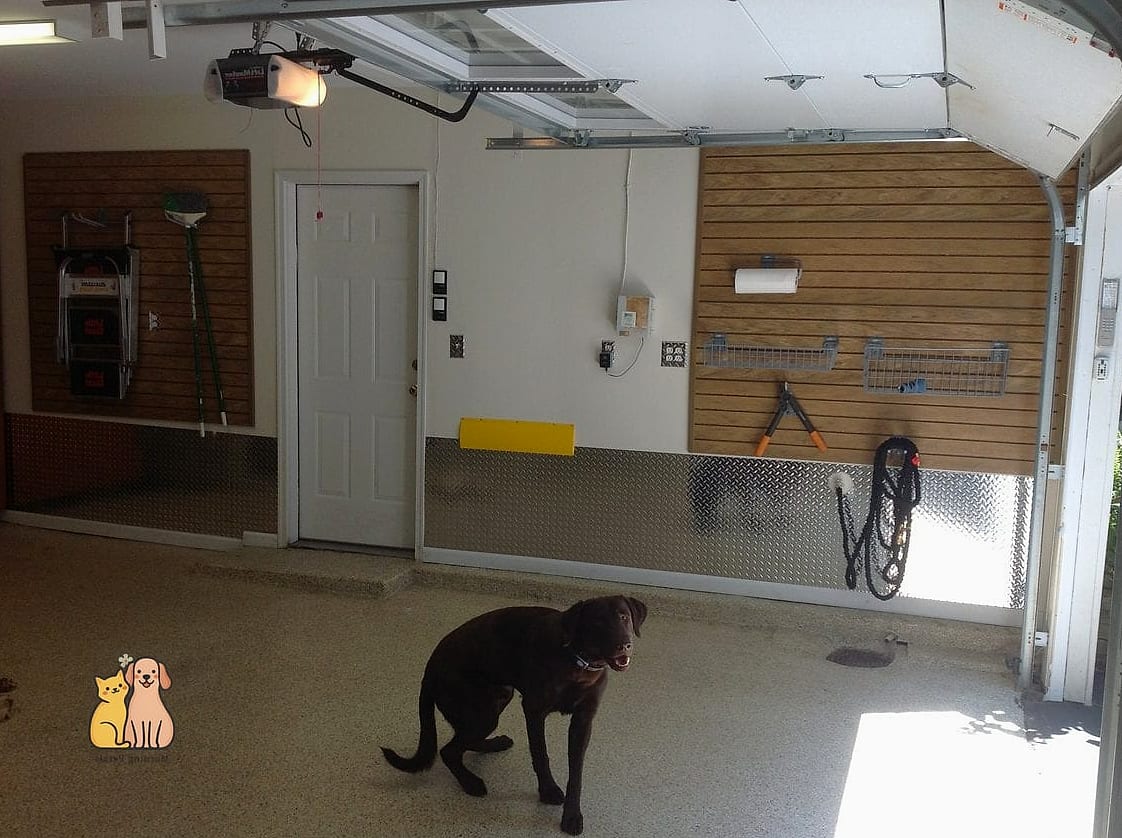 25 Amazing Dog Room In Garage That Are Too Cute to Handle 23 The Dutch Door Half-Open Room