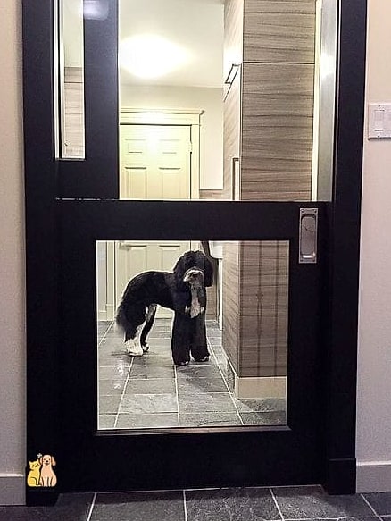 The Dutch Door with Dog Cutout