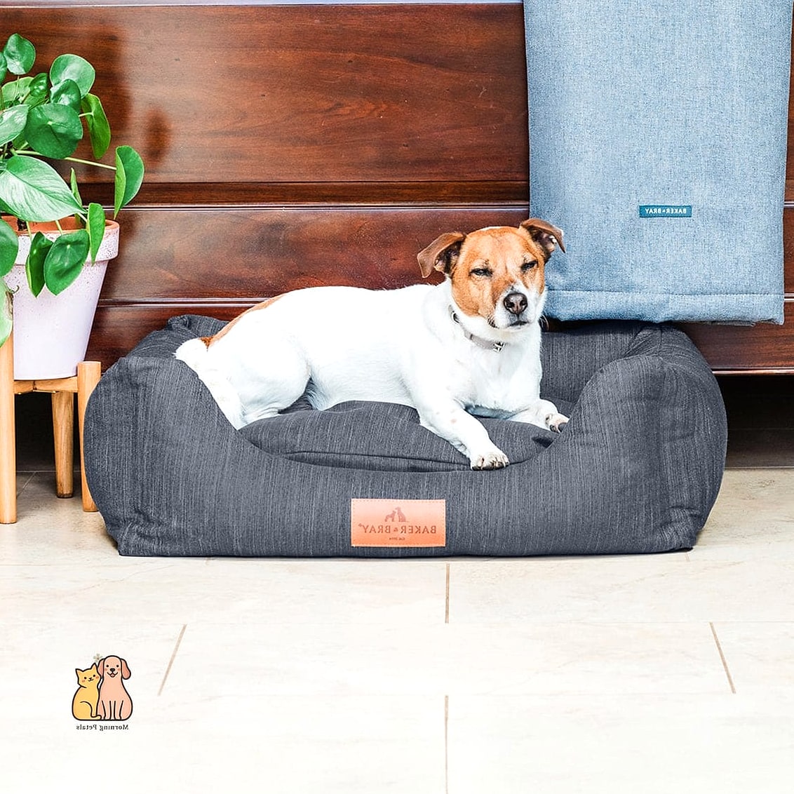 15 Gorgeous Orthopedic Dog Beds That Will Restore Your Faith in the World 10 The Eco-Friendly Orthopedic Dog Bed