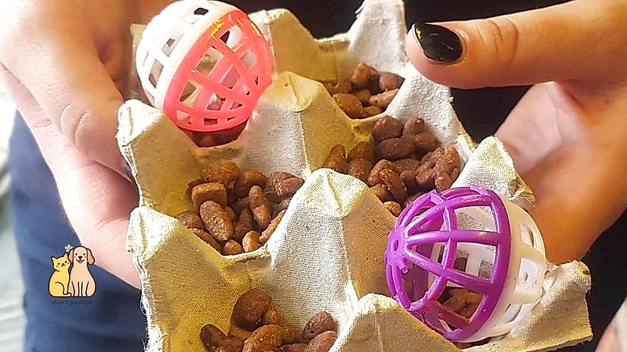 The Egg Carton Treat Puzzle