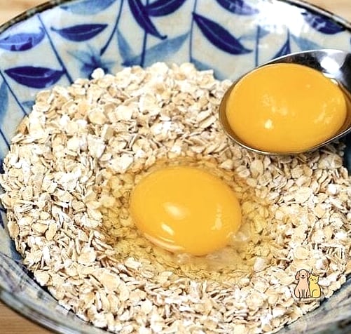 19 Budget-friendly Homemade Dog Meals That Are Totally Worth It 6 Egg and Oat Breakfast Bowl