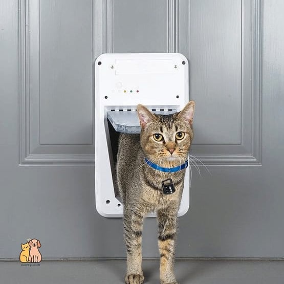 Electronic Timed Access Door