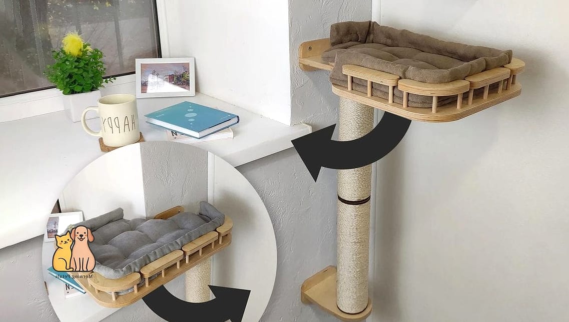 The Elevated Cardboard Perch