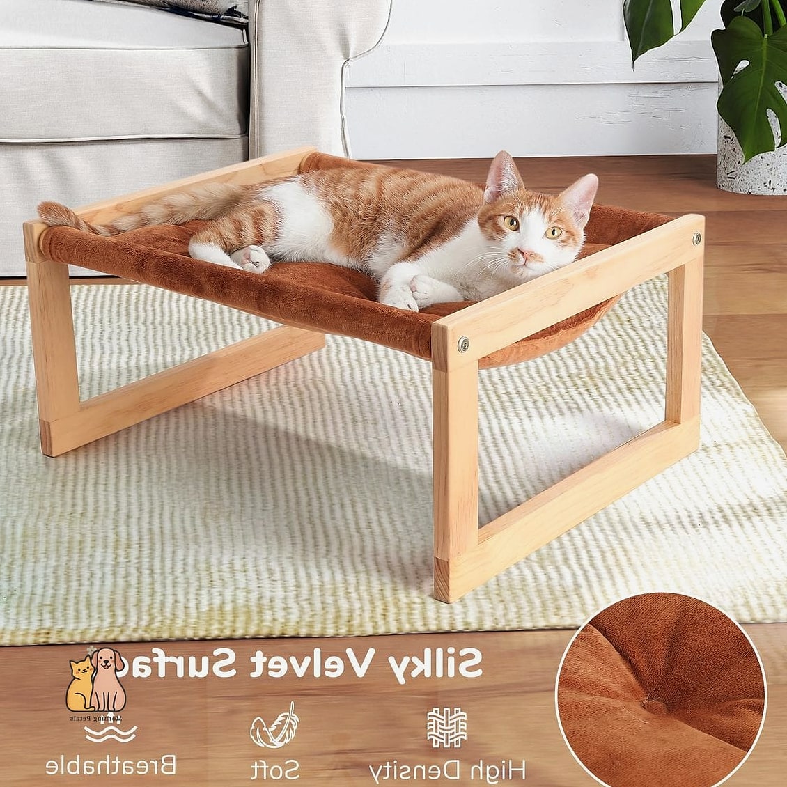 The Elevated Cat House on Legs