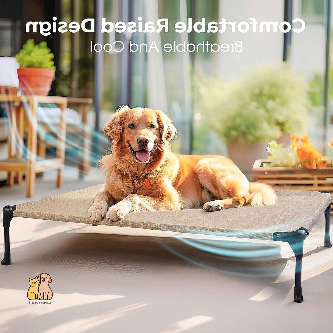 30 Incredible Dog Places In House You Need in Your Life Right Now 4 The Elevated Cot Corner