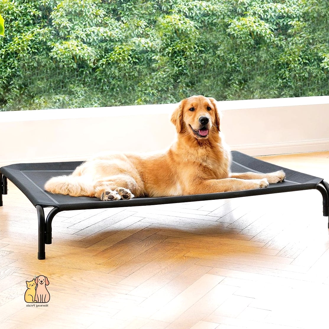 20 Clever Dog Corner Ideas That Are Totally Worth It 8 The Elevated Cot Corner