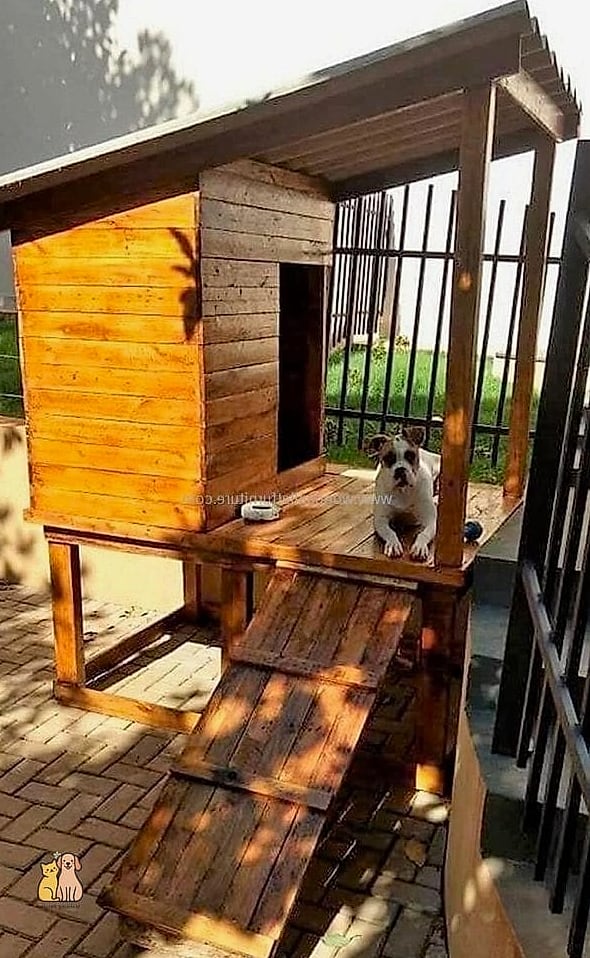 The Elevated Deck-Style Dog House