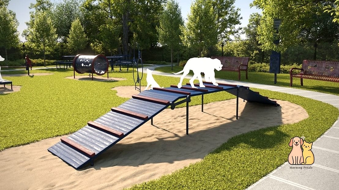 The Elevated Dog Ramp and Platform System