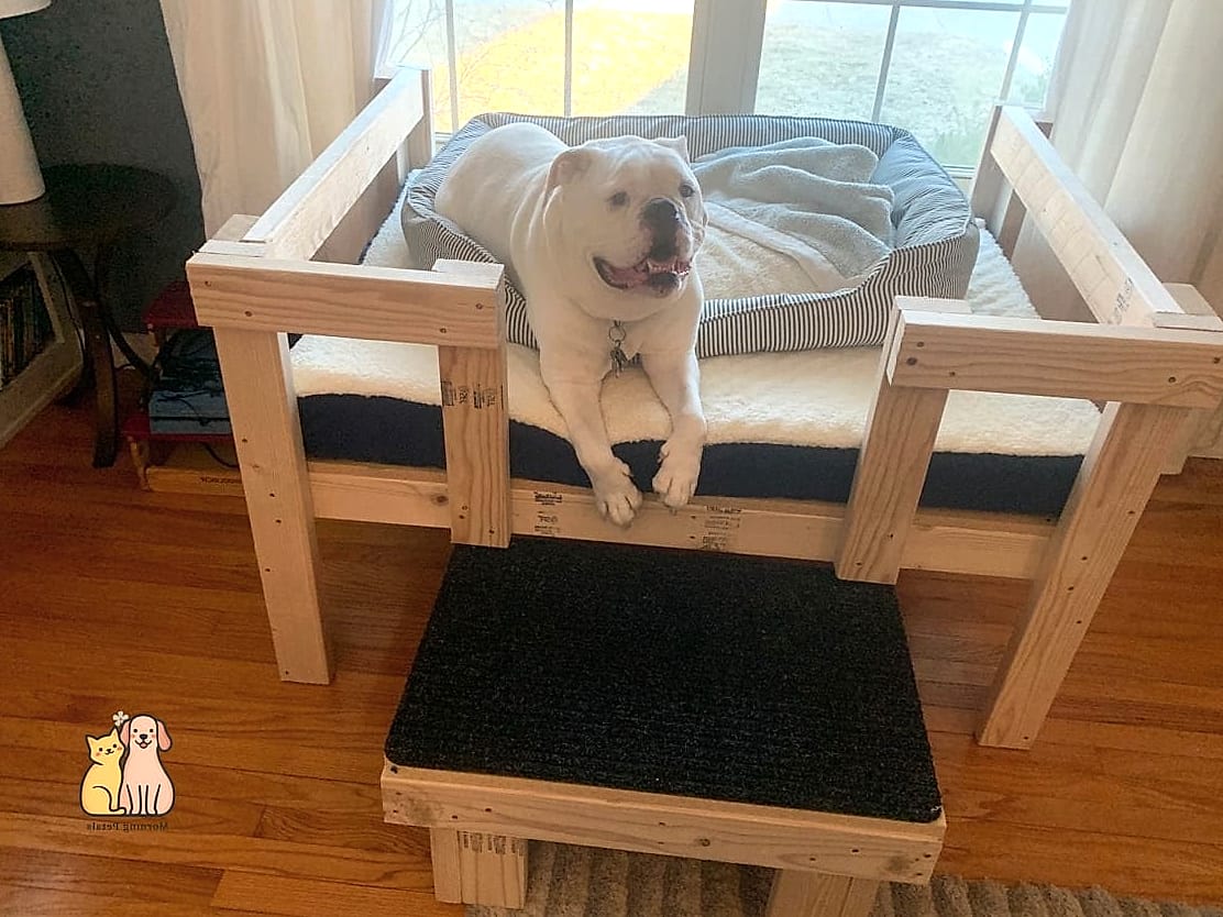 23 Precious Cute Dog Houses That Are Too Cute to Handle 5 The Elevated Loft House