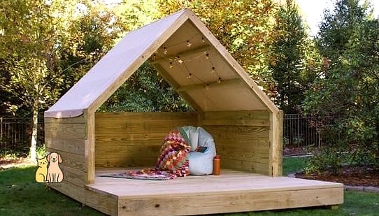 Elevated Platform Cat House