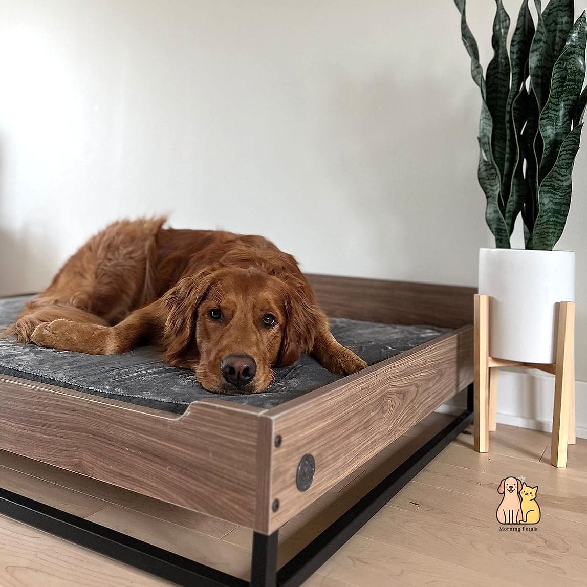 The Elevated Wooden Dog Bed Frame