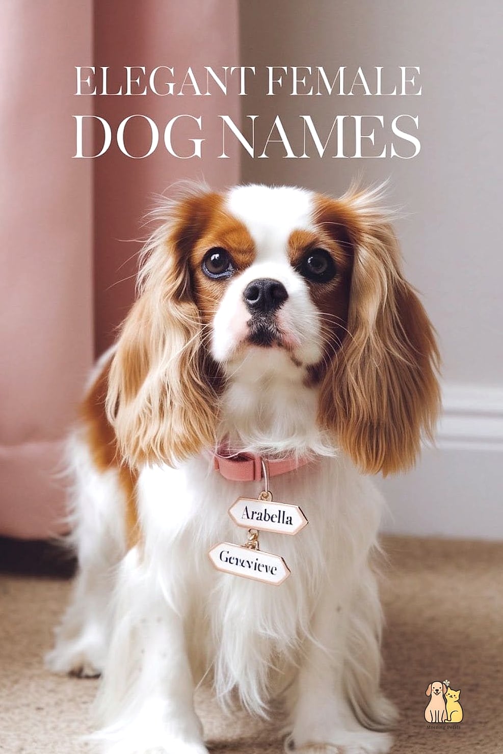 20 Female Dog Names That Are Totally Unique and Adorable 20 Ember