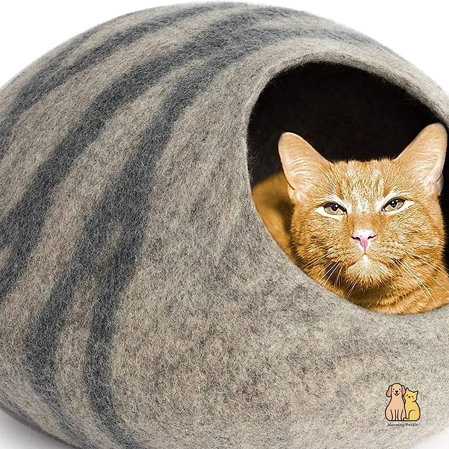 The Enclosed Cave Bed