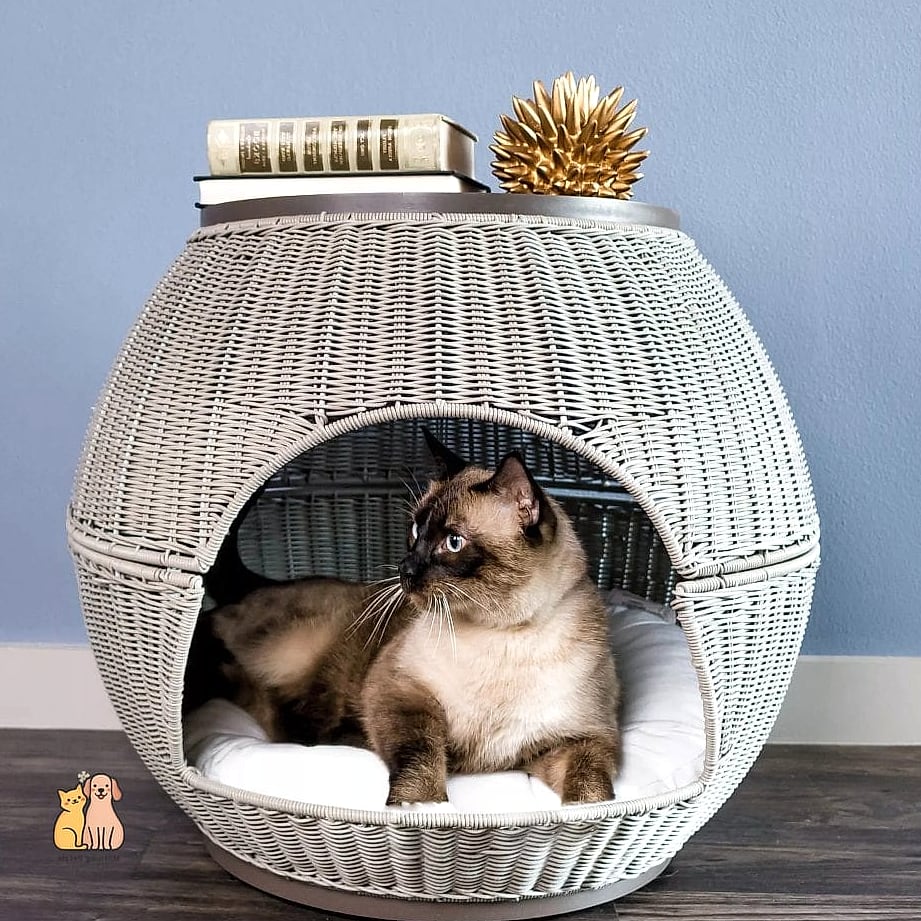 The Enclosed Igloo Scratcher Combo