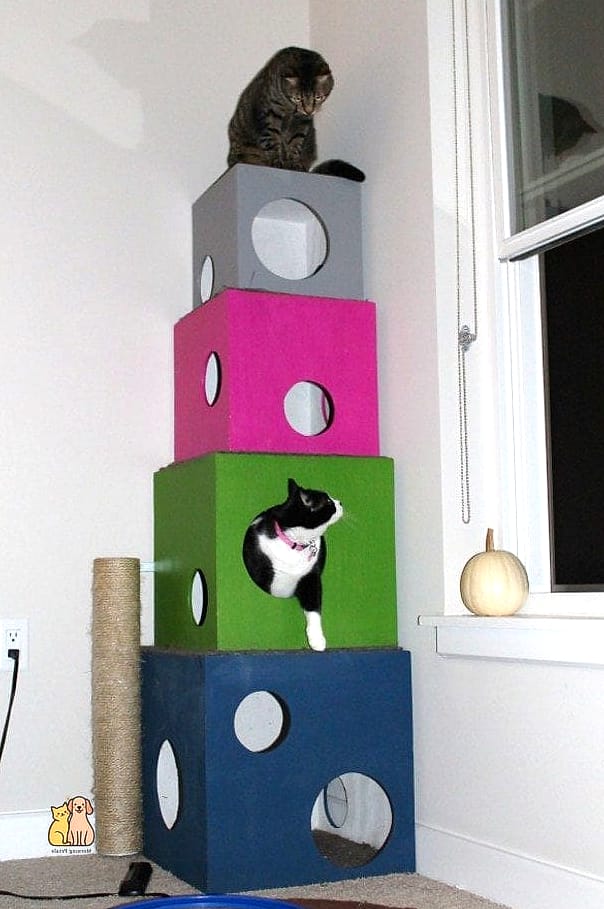45 Easy Diy Cat Condo to Try Right Now 43 The Enclosed Loft Condo