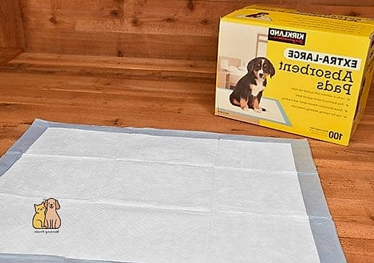 25 Amazing Dog Pee Pads That Will Restore Your Faith in the World 21 The Extra-Absorbent Pad for Small Puppies