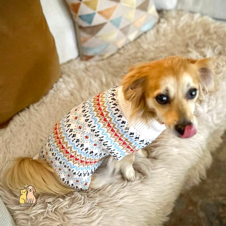 15 Gorgeous Small Dog Sweaters That Will Restore Your Faith in the World 4 The Fair Isle Print Sweater