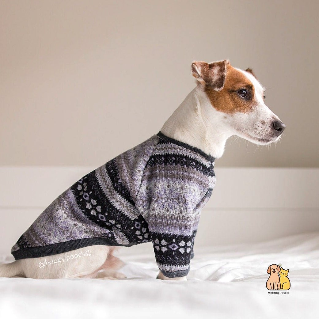 The Fair Isle Holiday Sweater