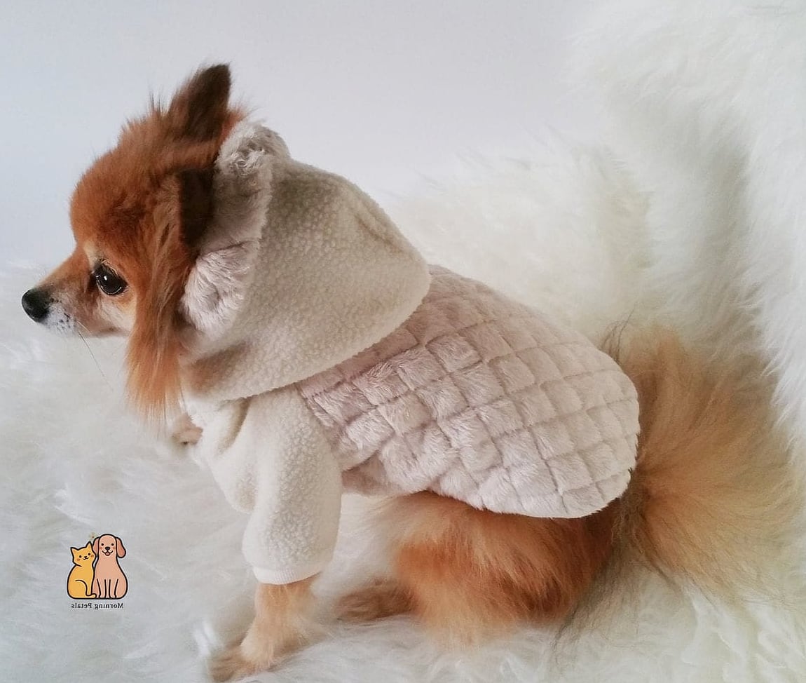 15 Gorgeous Small Dog Sweaters That Will Restore Your Faith in the World 9 The Faux Cashmere Wrap Sweater